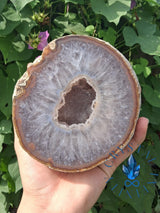 Agate Druzy Slab Freeform