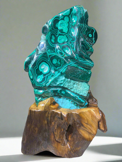 Malachite Freeform on Branch Stand Rare