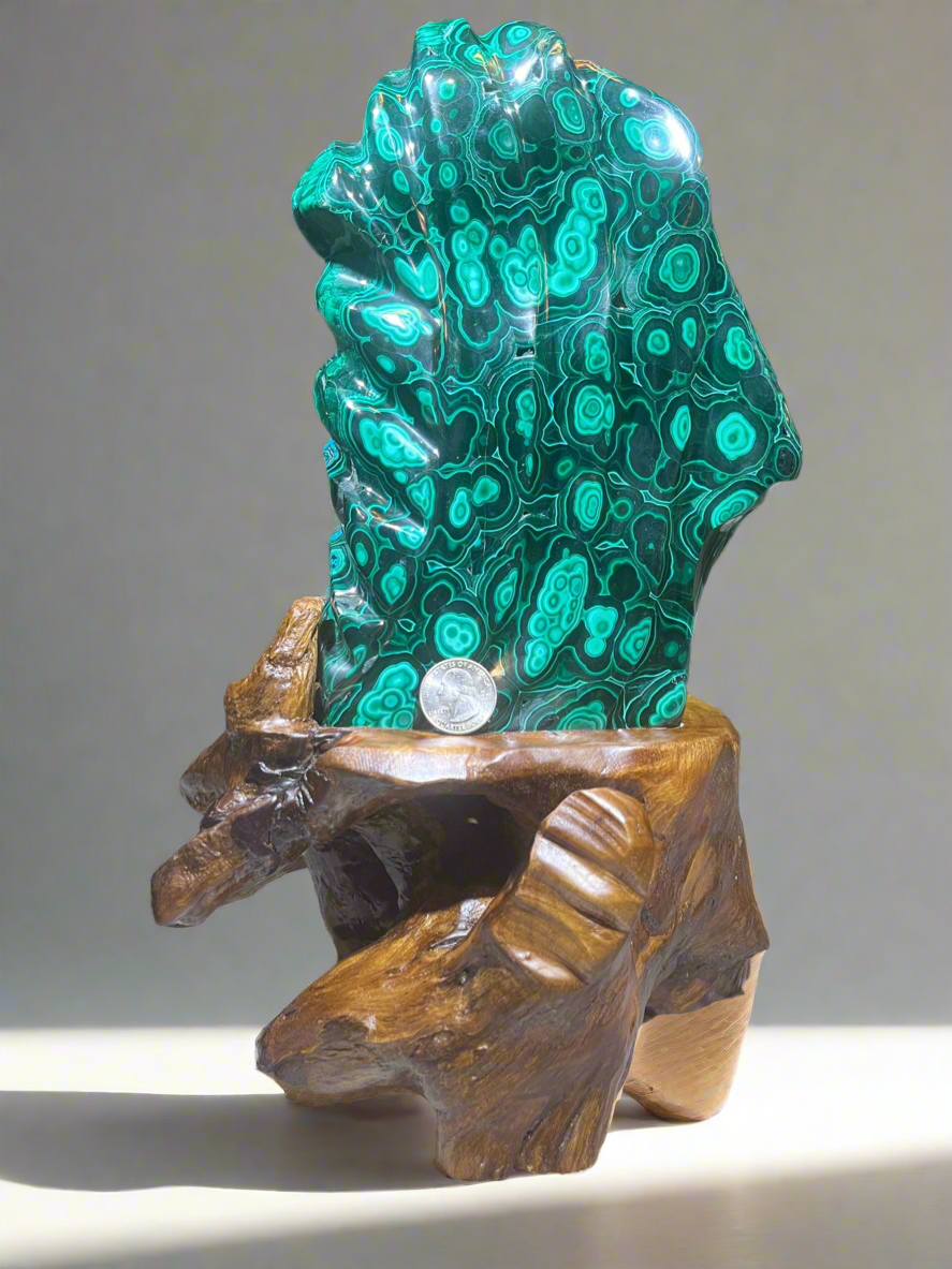 Malachite Freeform on Branch Stand Rare