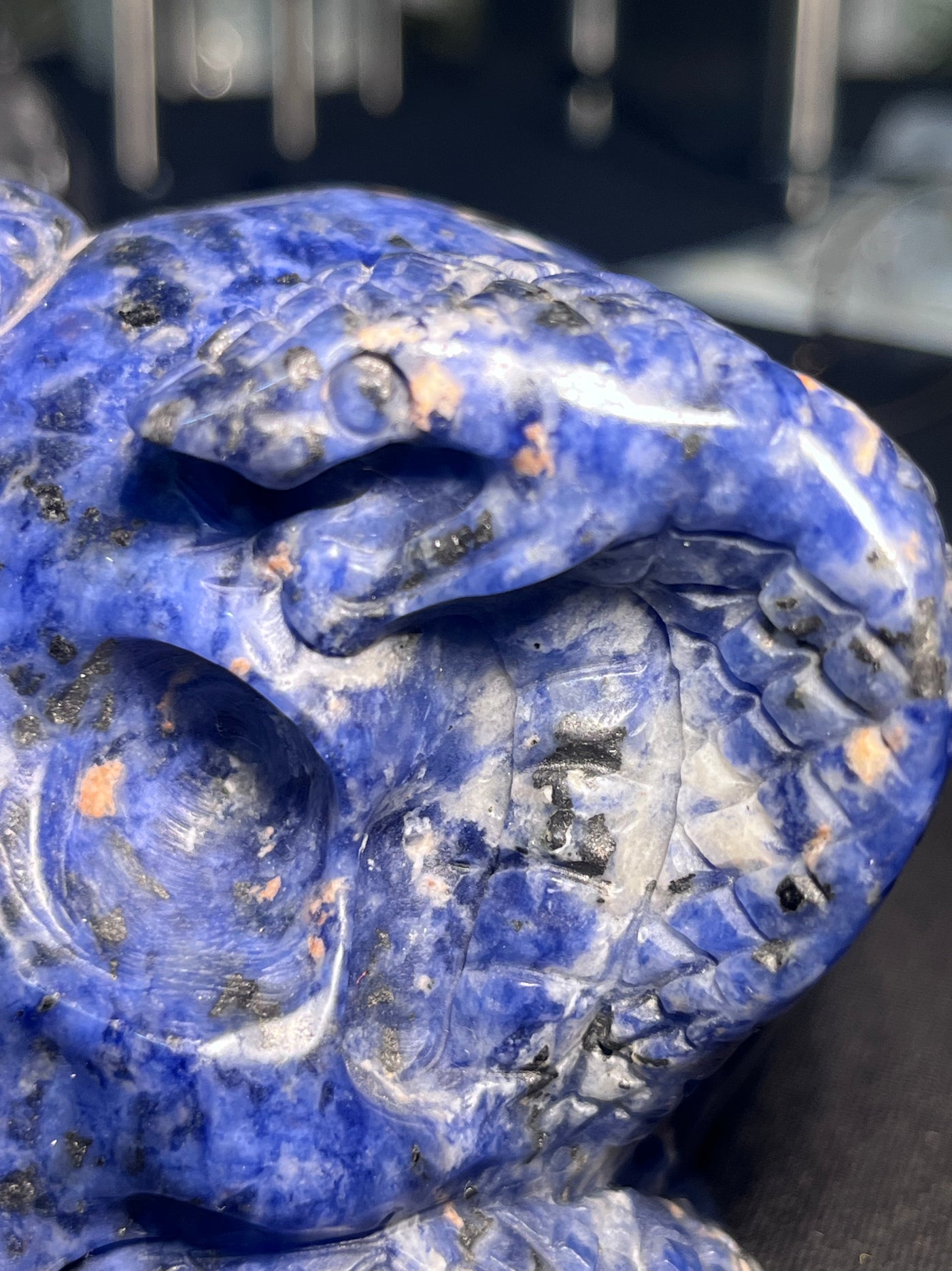 Sodalite Cobra Skull