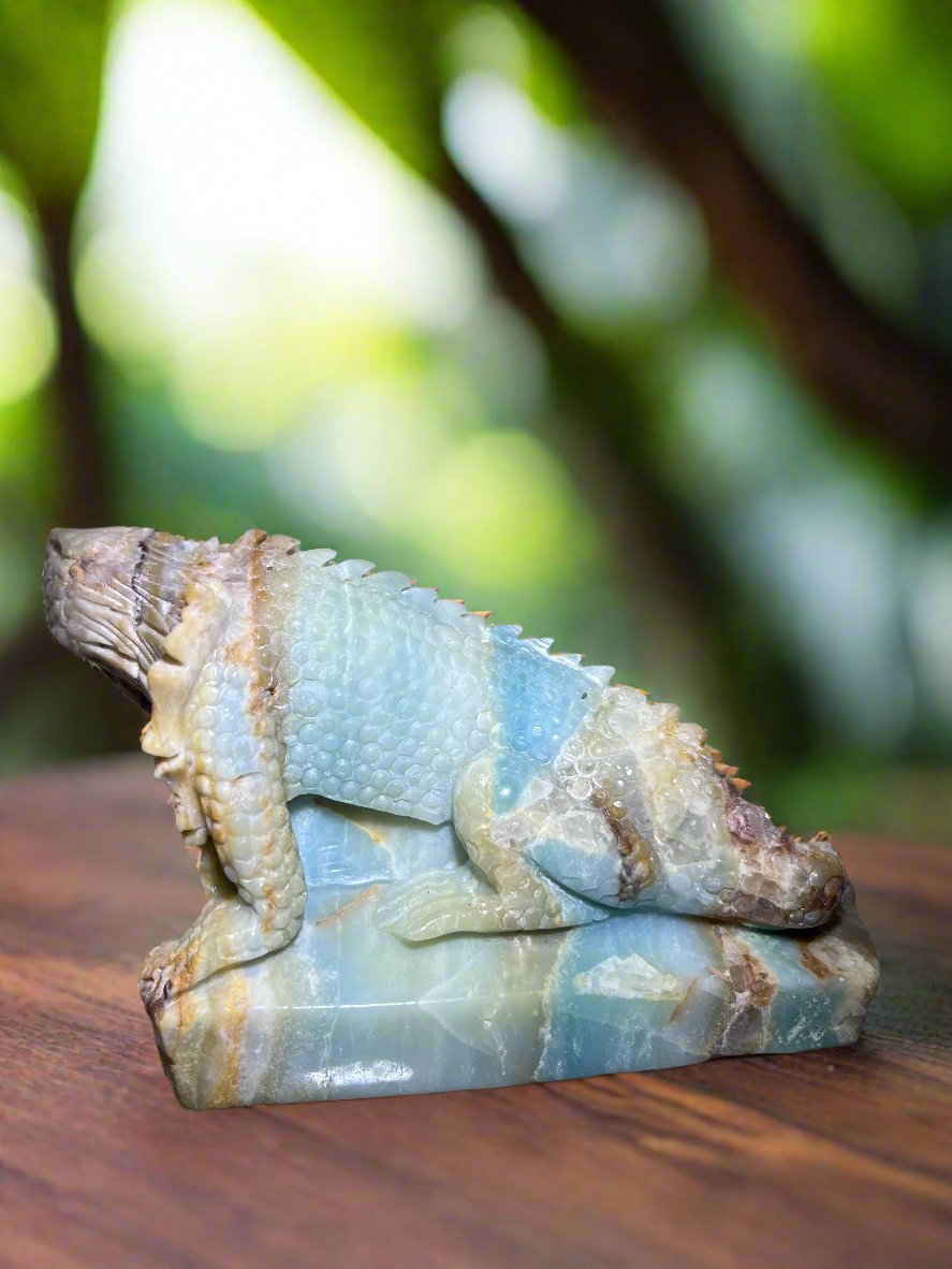 Caribbean Calcite Bearded Dragon Limited Edition Carving