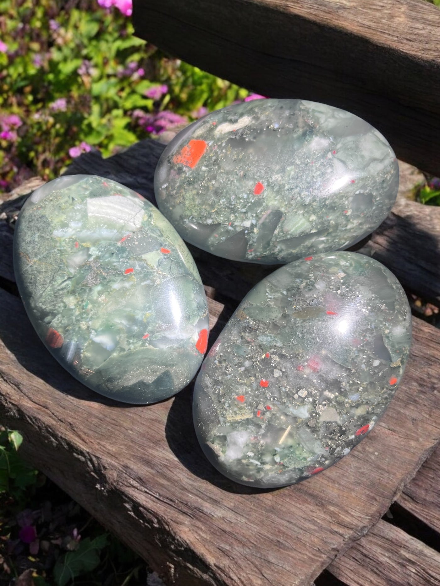 African Bloodstone Palm Stones