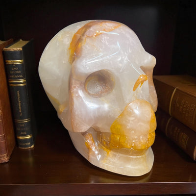 Golden Healer Skull