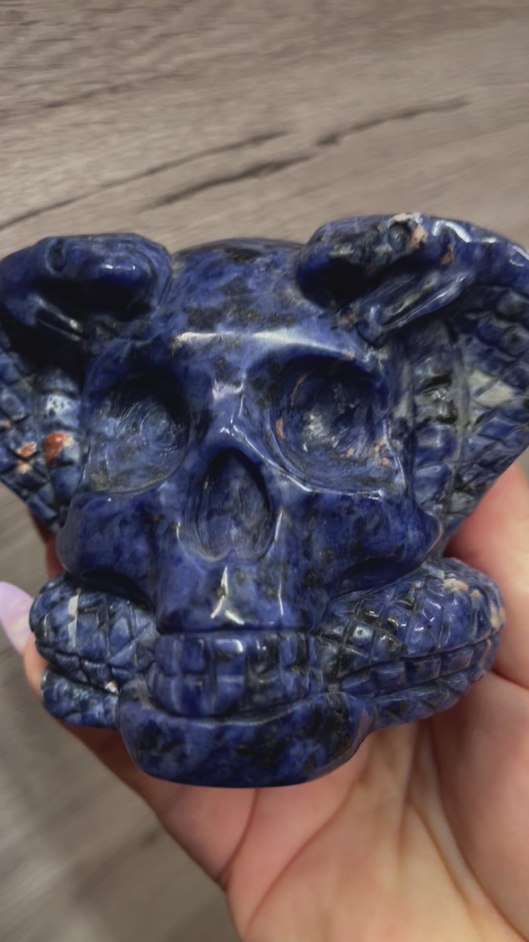 Sodalite Cobra Skull