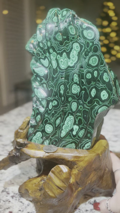 Malachite Freeform on Branch Stand Rare