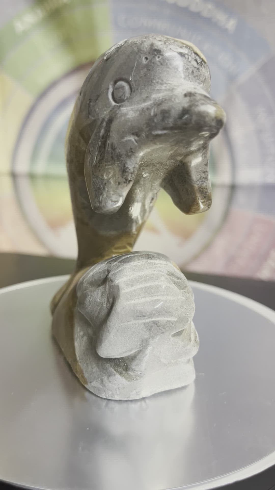 Caribbean Calcite Dolphin Limited Edition