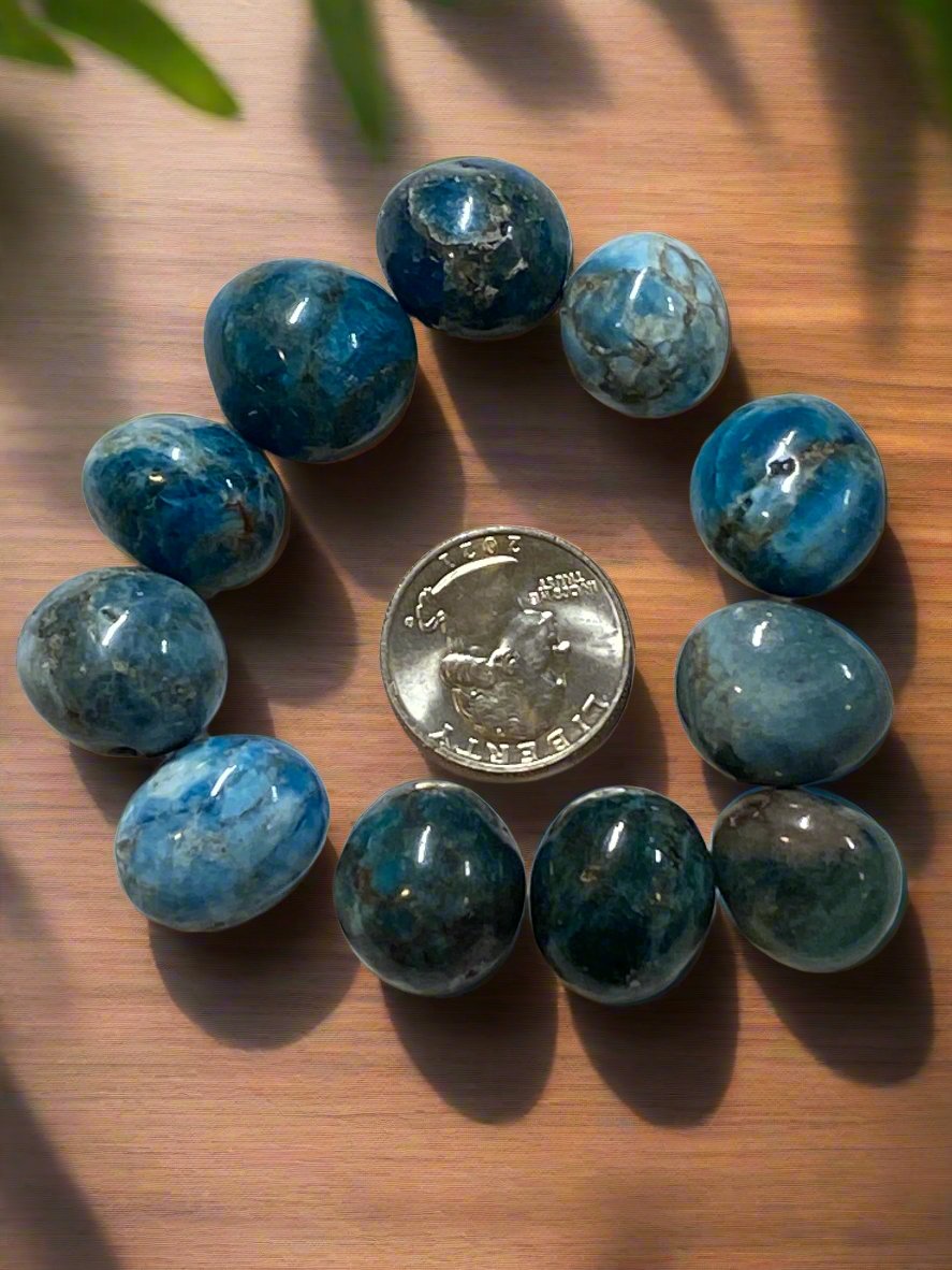 Blue Apatite Tumbles