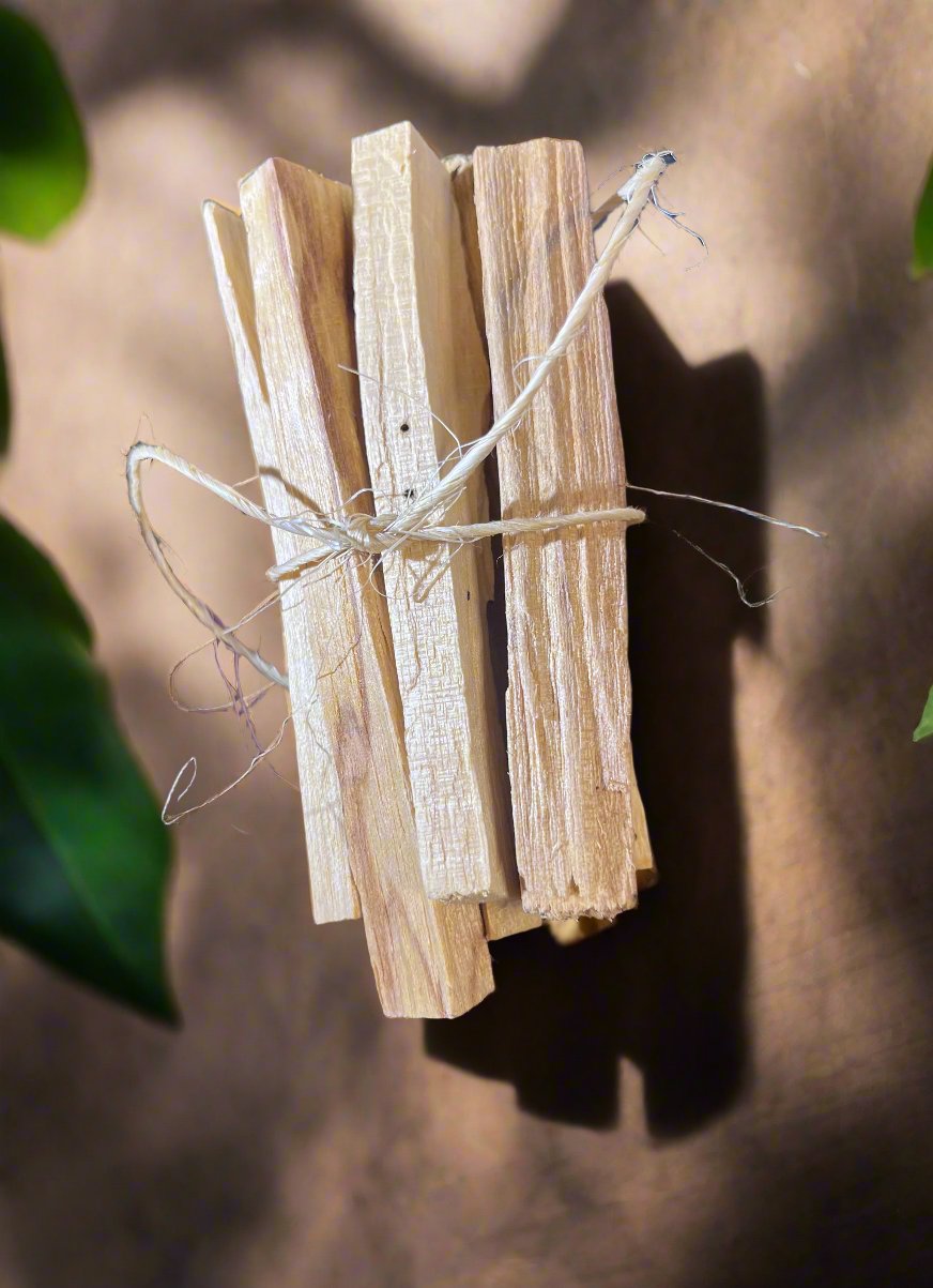 Palo Santo Stick Bundle of Six Metaphysical Supply