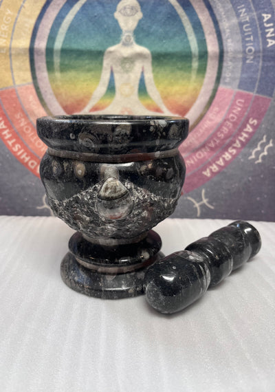 Goniatite and Orthoceros Mortar and Pestle Metaphysical Supply