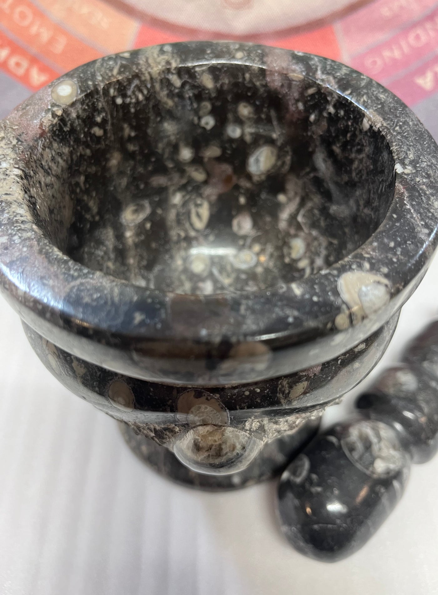 Goniatite and Orthoceros Mortar and Pestle Metaphysical Supply