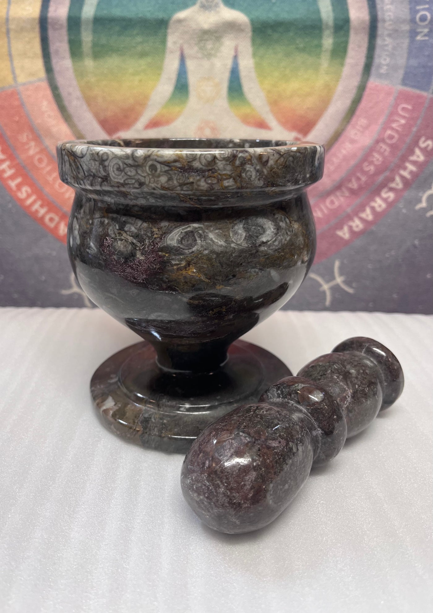 Goniatite and Orthoceros Mortar and Pestle Metaphysical Supply