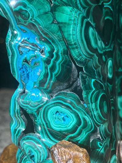 Malachite Freeform on Branch Stand Rare