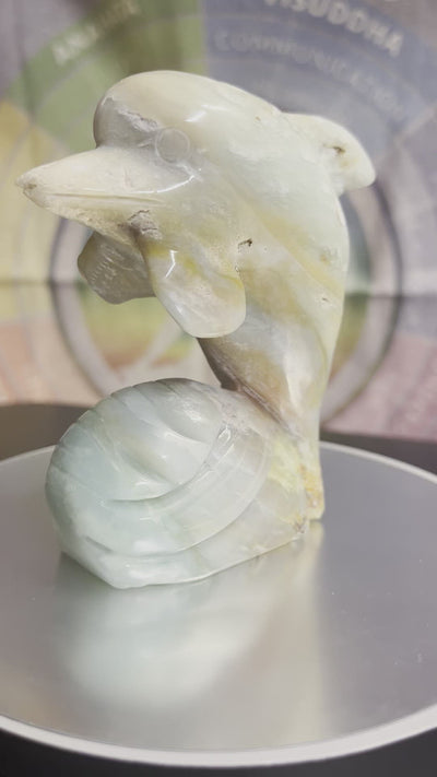 Caribbean Calcite Dolphin Limited Edition